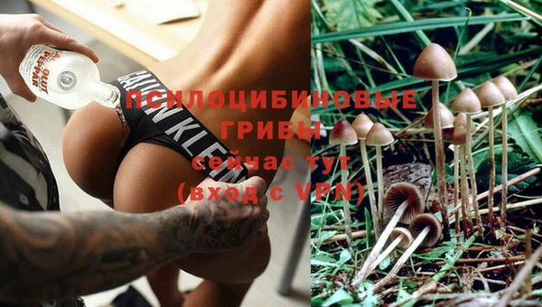 а пвп мука Богданович